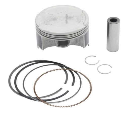 vertex-2024-09-tlok.jpg