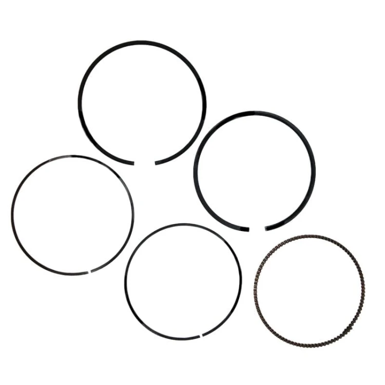 vertex-tlok-honda-trx-680-pioneer-700-06-23-10.jpg